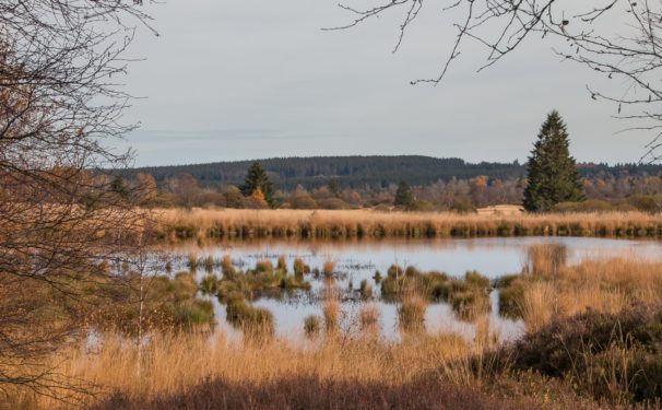 Spa Monopole obtains highest certification for the sustainable management of its water resources