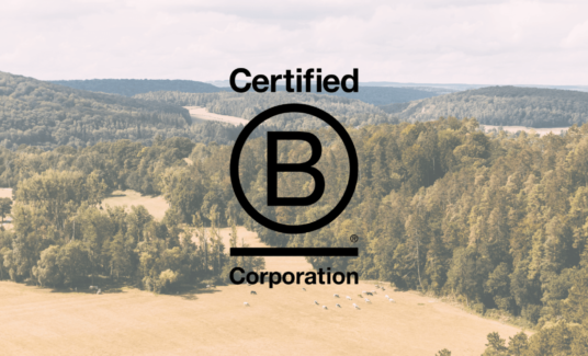 Spadel, and its brands, are B Corp certified